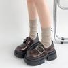 Fashion Temperament Brown French Thick Heel Platform Small Leather Shoes 2025 New Autumn Shallow Mouth Round Head Mary Jane Single Shoes