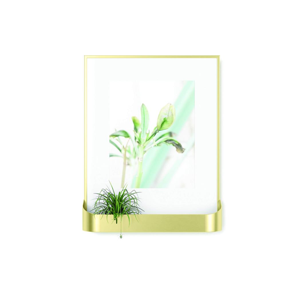 Umbra Wall Display Photo W36 X D11 X MATINEE Frame, Brass, H44cm, (Product Code 21016758221)