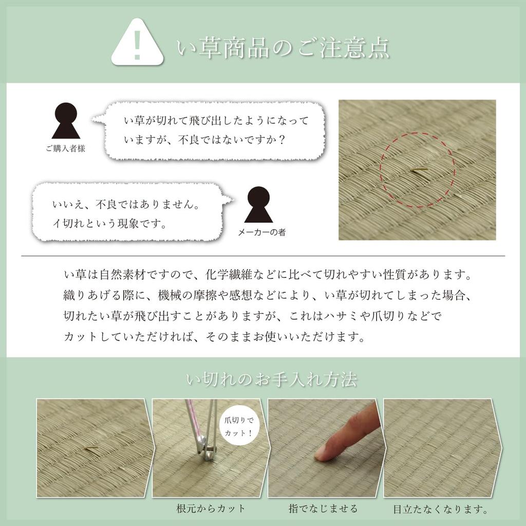 IKEHIKO Noah Easy Igusa Sheet Pad, Single, Green, Approx. 90 x 200cm, Made in Japan, Filling: 40mm Solid Cotton #7557909
