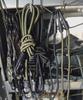 GORDON MILLER 33300 Rubber Rope for Cars with Hooks 0.6 m x 2 Piece Set, Black