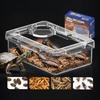 Reptilien Futterspender Eidechse Schildkröte Gecko Futter Napf Anti-Flucht Mehlwurm Kakerlake Zuchtbox Reptilien Futter Trink Zubehör