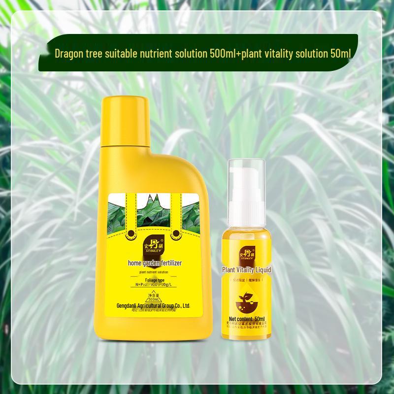 Stanley Dragon Tree Care: Nutrient Solution & General-Purpose Fertilizer for Healthy Green Plants
