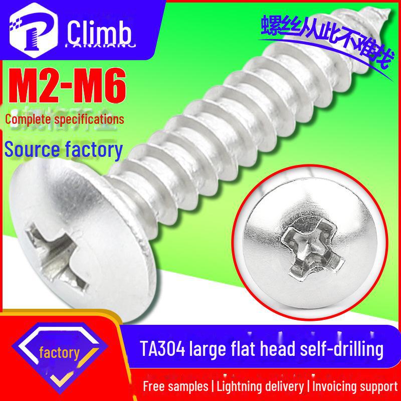 304 Stainless Steel Large Flat Head Cross Slot Self-Tapping Screws - Custom Umbrella/Mushroom Head Zigong Screws