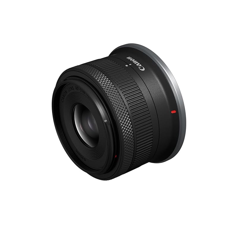 

Canon RF-S 18-45mm f/4.5-6.3 is an STM lens.