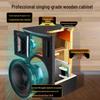 Songchuan International SP101 Home KTV Professional Audio System CN Plug (adapter Included)
