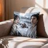 COOL TThe TV series PPursuit of Jade  Pillow Case Pattern Printed Pillowcase For Living Room Sofa Cushion Cover