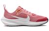 Nike Air Zoom Pegasus 40 GS 'Coral Chalk' DX2498-600