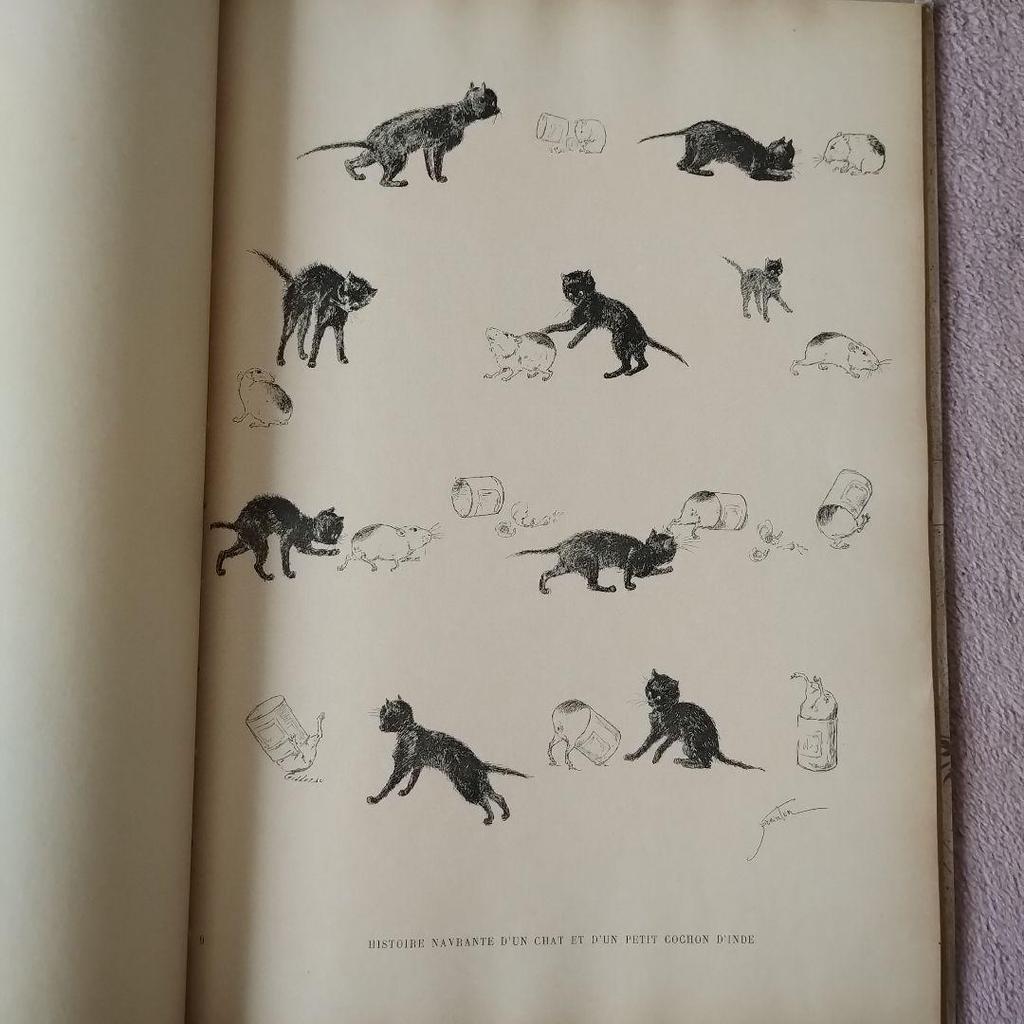 [USED] Des Chats by Steinlen: Steinlen's Cats Print Collection