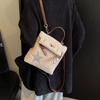 Winter Lamb Wool Backpack Women'S Niche Fashion Large-Capacity Briefcase High-End Versatile Women'S Bag