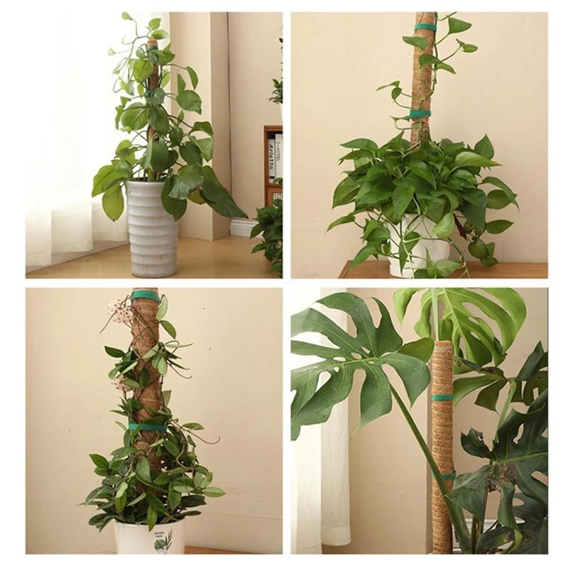 60-120cm Plant Climbing Coir Totem Pole Safe Gardening Coconut Stick For Climbing Plants Vines And Creepers Plant Support