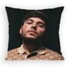 Singer Tito Double P Pillow Case Sofa Living Room Bedroom Headboard Backrest Cushion Square Cushion Nap Time