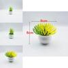 Plastic Succulent Miniature Plant Desert For Home Decor And Office Use