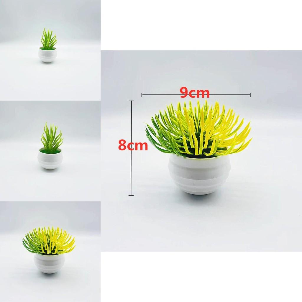 Plastic Succulent Miniature Plant Desert For Home Decor And Office Use