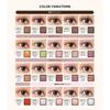 Shiseido Maquillage Customized Eye Color Single