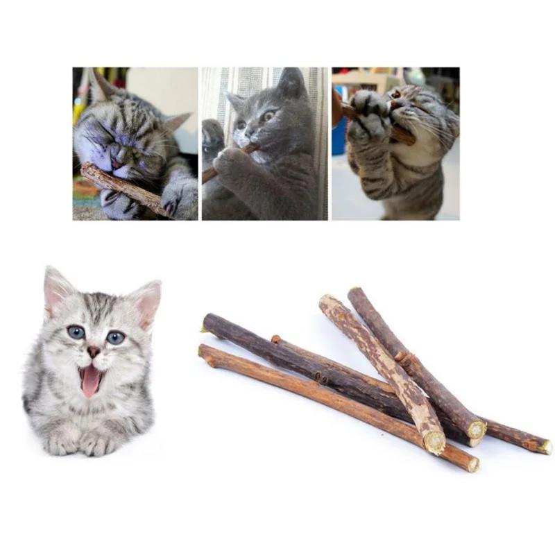 10/15/20 teile/los Katzenminze Stick Haustier Katze Molaren Spielzeug Natürliche Holz Polygonum Sticks Reinigung Zähne Lindern Langeweile Snacks kaut Spielzeug