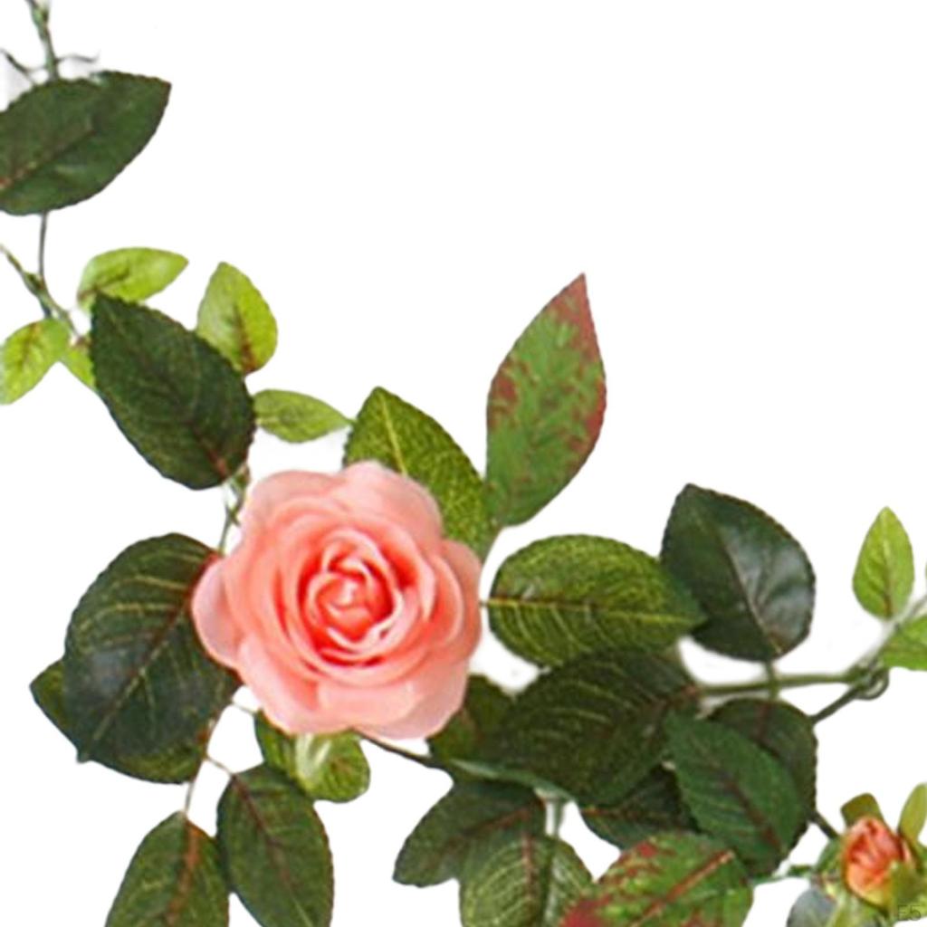Rose Vine Decor for Elegant Celebrations