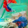 Pești și animale marine – Decorul acvariului