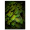 Canvas Print, Decorative Green Feathers