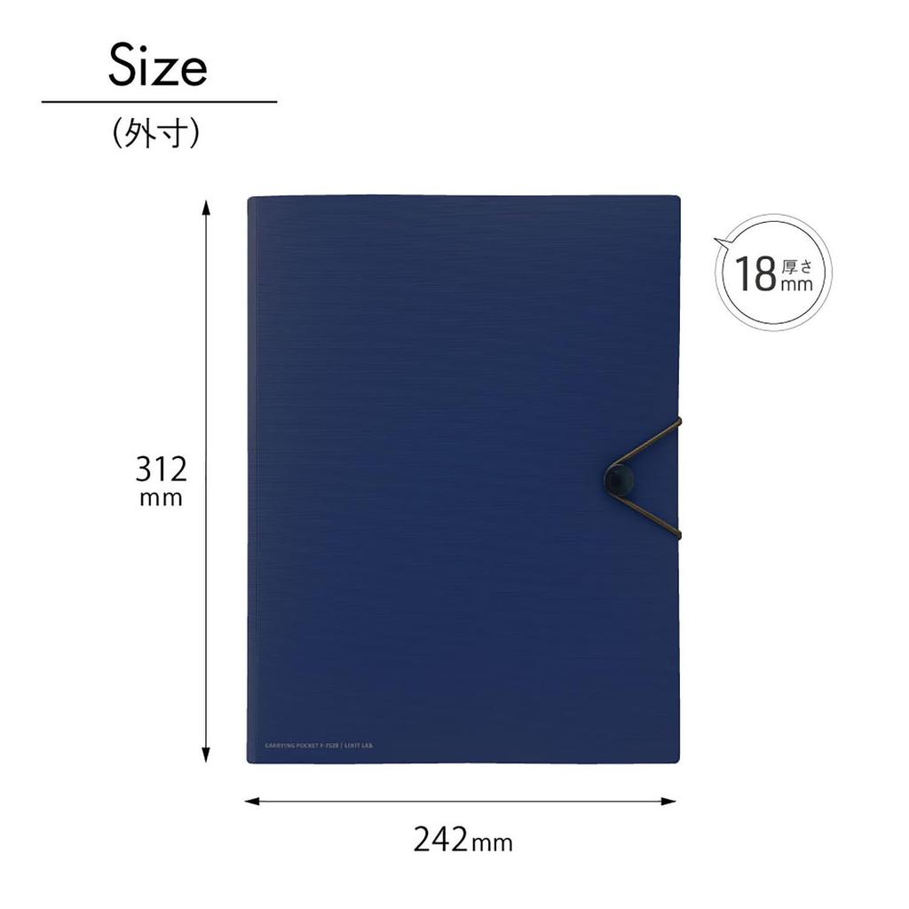 Lihit Lab Carrying Pocket, A4, Beige, F7528-16