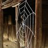 150/250cm Black White Halloween Spider Web Party Bar Layout Props Trick Toy Plush Spider Decoration Supplies Horror Prop