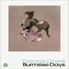 Burmese Days by George Orwell Paperback Book 9780141185378