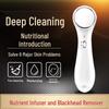 Handheld Portable Facial Massage & Skin Cleansing Beauty Instrument