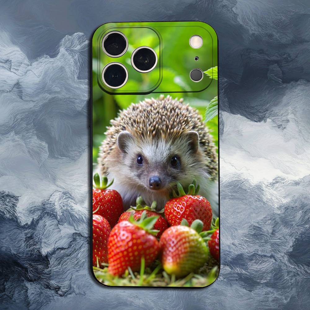 Cute Hedgehog  For iPhone 13,16,11,14,17,12,15,Plus,Pro Max,XS,X,XR,SE,Mini,8,7,Phone Case Soft Silicone Black