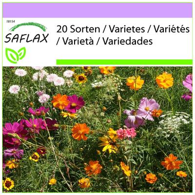 Mélange de fleurs coupées - 1000 graines - 20 mélanges de fleurs sauvages