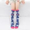 Infant Girls Warmer Ankle Lovely Cartoon Over Knee Long High Socks for Baby Kids Unicorn Toddler Child Colorful Cotton Stockings