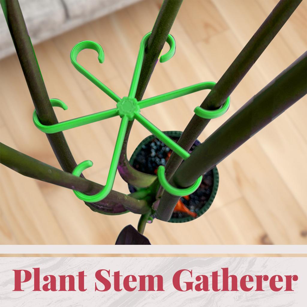 Plant Stem Folding Clips Monstera Alocasia Support Fixture Clamps Home Garden Bonsai Flower Plant Vine Anti-Lodging Tool 4 Size