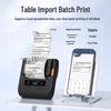 Detong Portable Thermal Label Printer CN Plug (adapter Included)