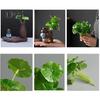 1 Branch Artificial Plant Realistic Flexible Colorfast Micro Landscape Fake Green Plant Household Supplies