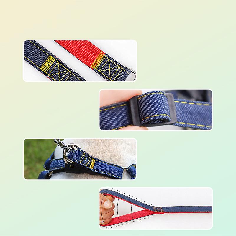 Dog Cowboy Leash Neck Ring Small Medium and Large Puppy Pet Teddy Golden Retriever Chest Strap Dog Walking Leash