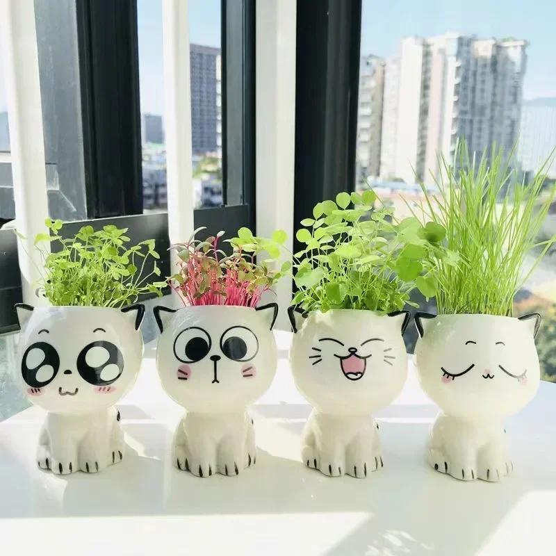 Keramik Blumentopf Mini Katze Cartoon Niedliche Topfpflanze Schreibtisch Katze Pflanztopf DIY Schreibtisch Dekorieren Wissenschaftliche Bildung Schulgeschenke