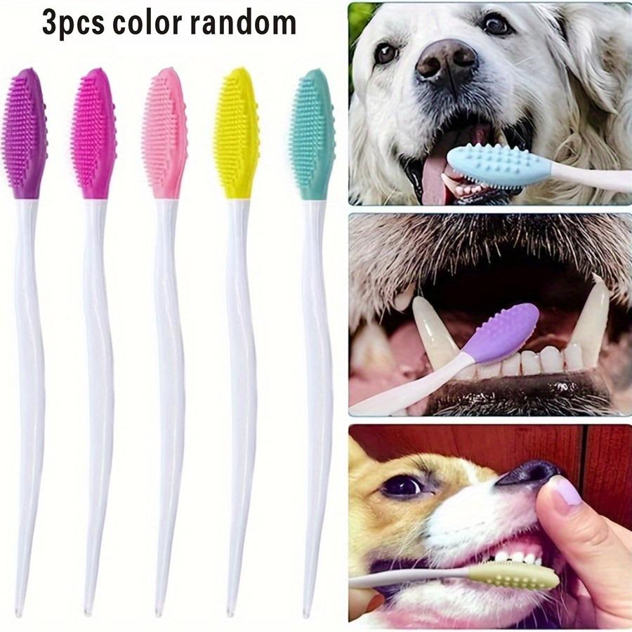 

Color Random, Double-sided, Black Head Brush, Nose Brush 3PCS