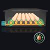 16/36 Egg Incubator Automatic Integrated Egg Candler, Temperature Control Egg Hatcher for Hatching Chicken Duck Quail Eggs