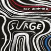 Surge by Jay Bernard Paperback Book 9781784742614
