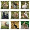 Grassland Rabbits Scenery Digital Printing Short Plush Pillow Covers Decorative For Car Sofa Office Cushion Cover Home Goods