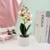 Artificial Plastic Phalaenopsis Flower Bonsai For Event Decoration Home Styling