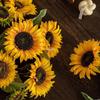 Sunflower Silk Flower Arrangement: Artificial Dried Flowers for Living Room, Dining Table, and Photo Props