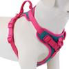 Splicing Colors Breathable For Medium No Pull Dog Harness for Large Small Dogs Adjustable Chest Strap Outdoor Dog Harness