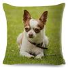 Cuscino Decorativo Cane Chihuahua Carino Federa per Cuscino Animale Domestico Amorevole Poliestere Federa per Cuscino da Arredo per Divano Casa Auto ,(7)