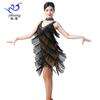 Latin Dance Performance Dress Sequin Fringe Skirt Stage Events Adult Sexy Costume
