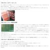 [SUNLINE] Shooter FC Sniper BMS Azayaka Fluorocarbon Line 300m 10lb Multicolor