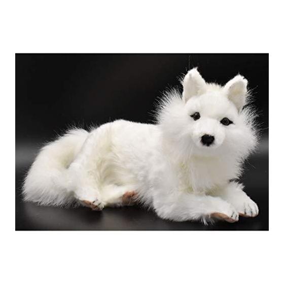 White fox 40 BH6822