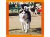 [CD] ENVERS NEXT Nomal Edition Junichi Igarashi MUCE-1068 Composer, Arranger NEW