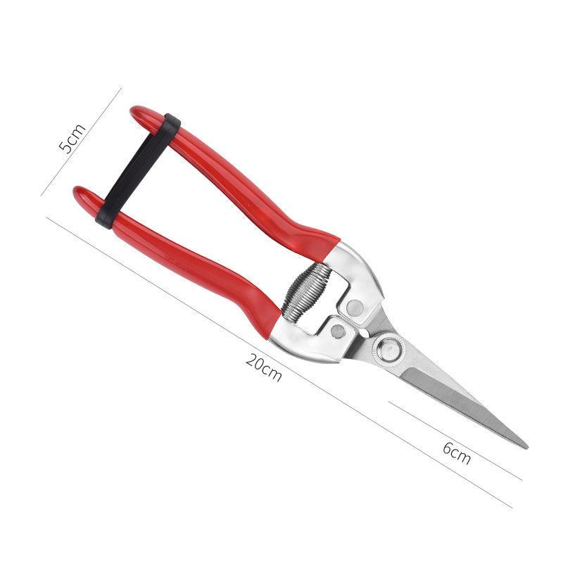 Stainless Steel Garden Pruning Shears for Thinning, Fruit Picking, and Orchard Gardening.
