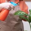 4Pcs Ergonomic Plastic Sprayer Head for Plants Watering Can Replacement Garden Sprinkler Cap Household Flower Gardening Water