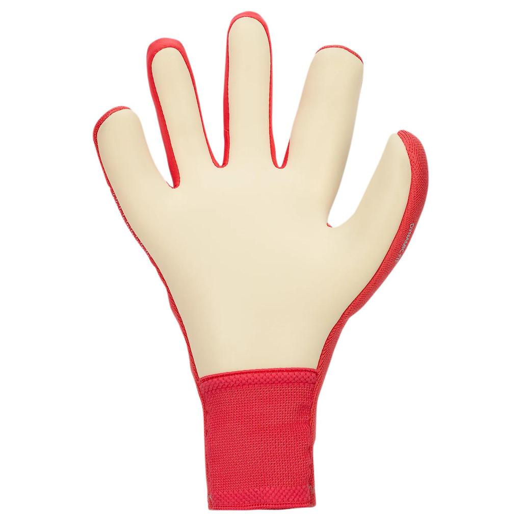 Men's Nike Dynamic Fit Soccer Goalkeeper Gloves