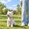 Two-Dog Rope with Braided Rope Construction, Cushioned Handle, and Rotating Connector for Neighborhood Walking Use